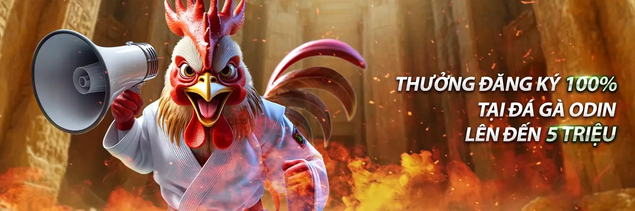 Banner Đá gà AE888 C3 Chính Thức 2026